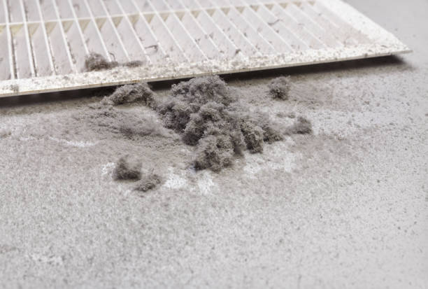 Best Professional Duct Cleaning Services  in Meadowbrook, CA